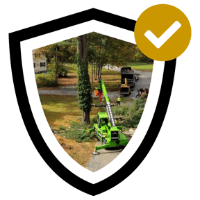 Free Estimate Tree Removal Photo